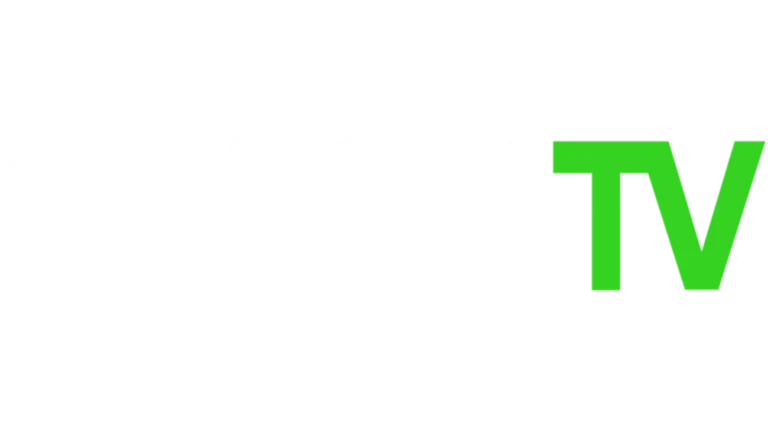 TV Channel logo icon 13